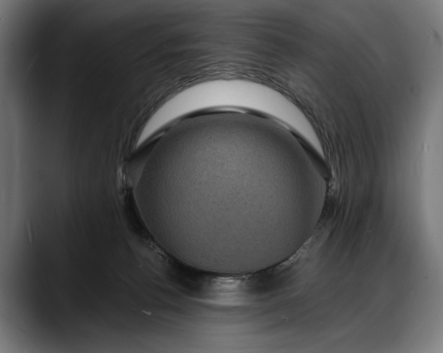 X0000088080176200705251415