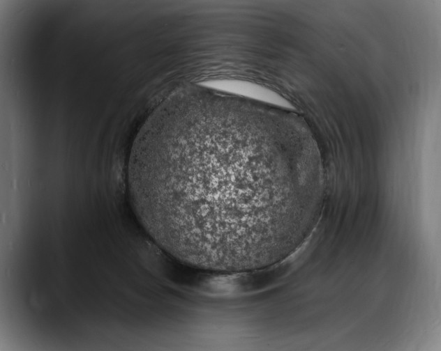X0000088080178200705251415