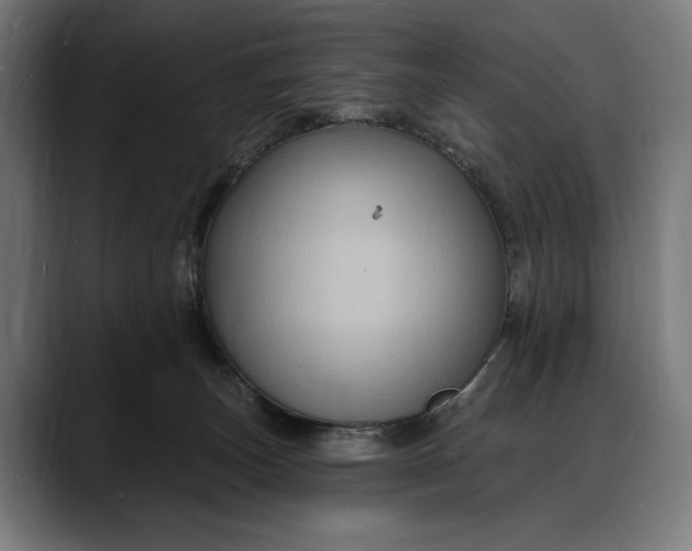 X0000088080179200705251415