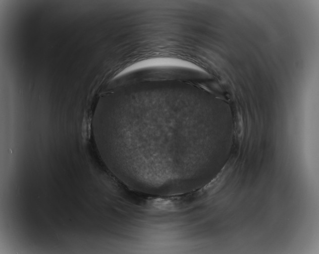 X0000088080180200705251415