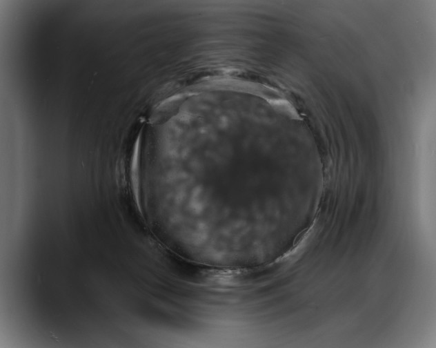 X0000088080182200705251415