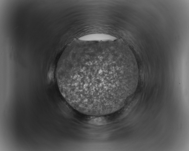 X0000088080185200705251416