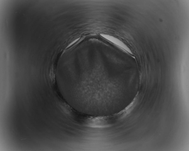 X0000088080186200705251416