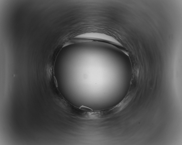 X0000088080188200705251416