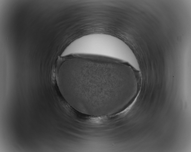 X0000088080190200705251416