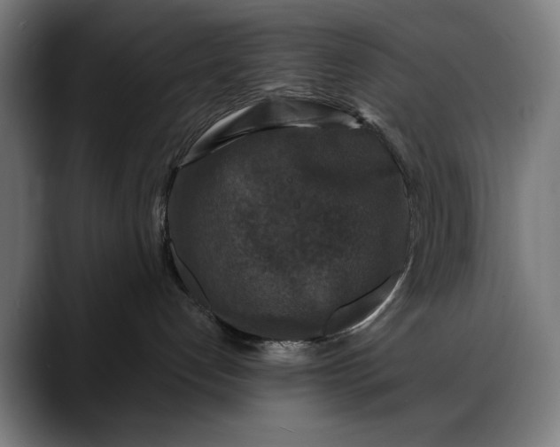 X0000088080192200705251416