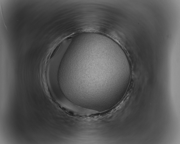 X0000088080193200705251415