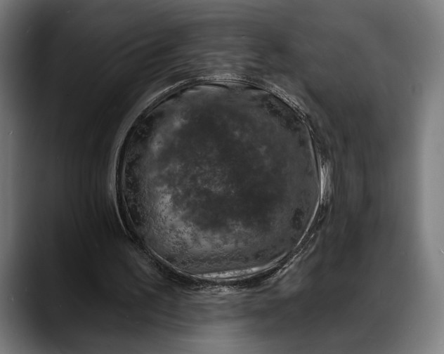 X0000088080195200705251415