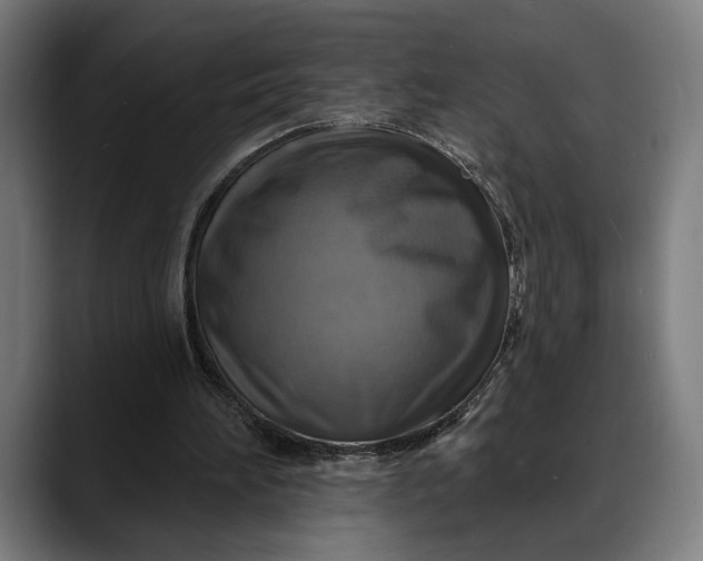 X0000088080196200705251415
