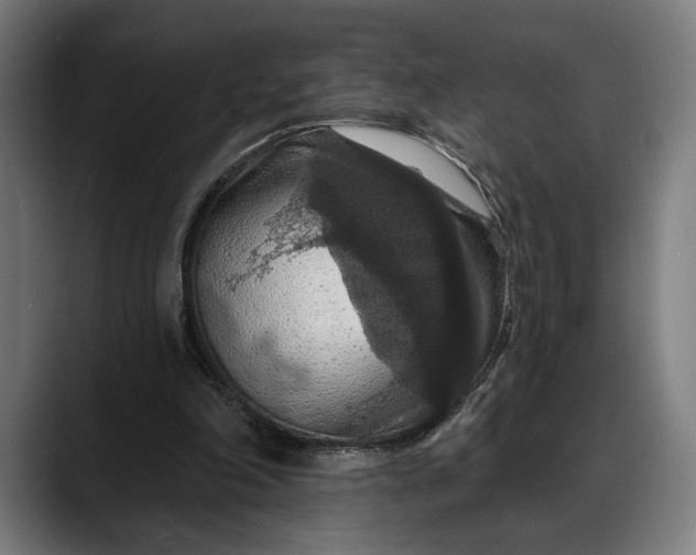 X0000088080198200705251415