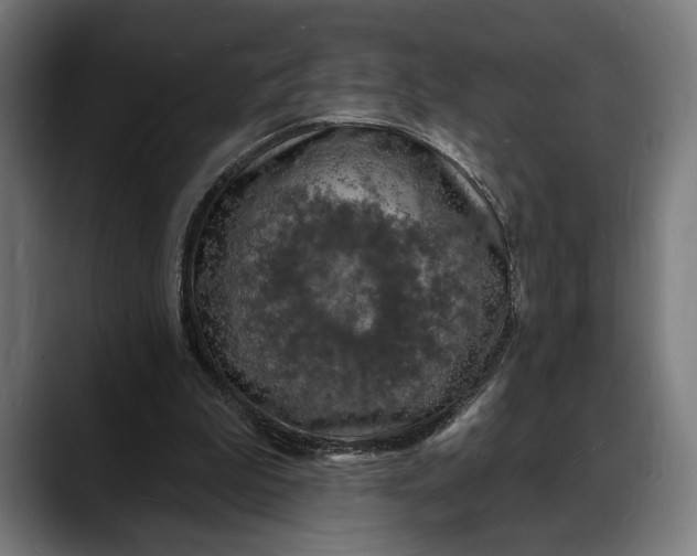 X0000088080199200705251415