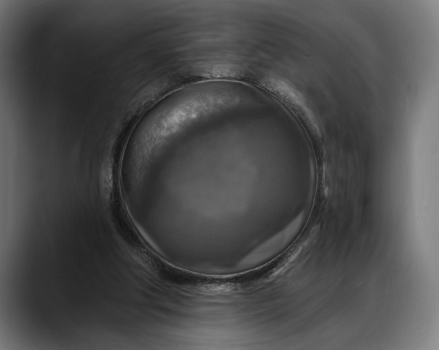 X0000088080202200705251415