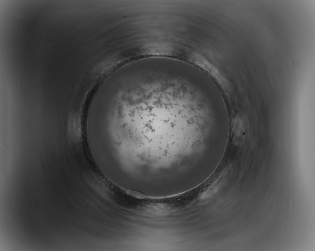 X0000088080203200705251415