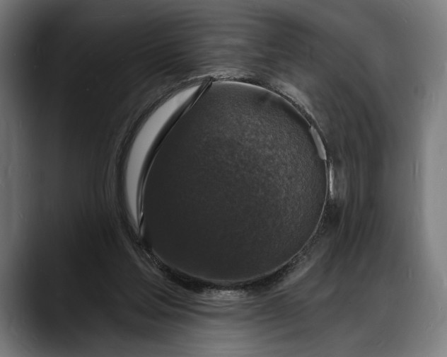 X0000088080205200705251415