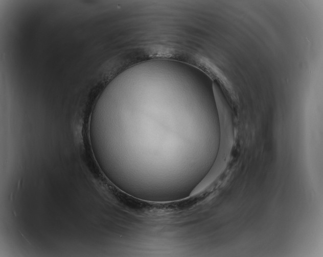 X0000088080209200705251415