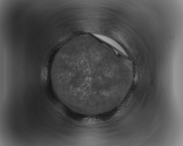 X0000088080211200705251415