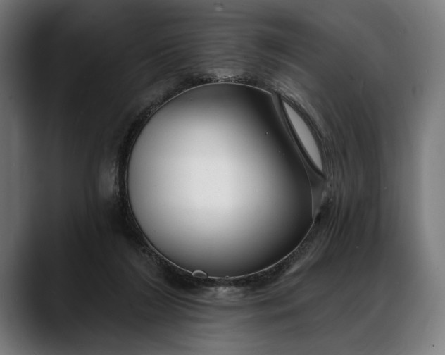 X0000088080212200705251415