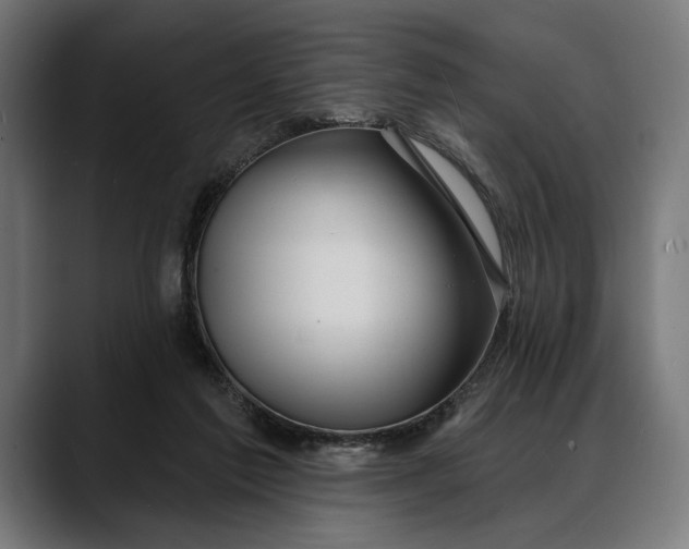 X0000088080213200705251415
