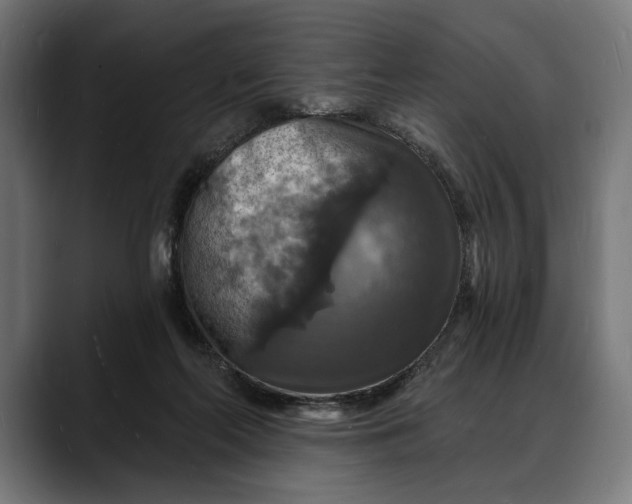 X0000088080214200705251415