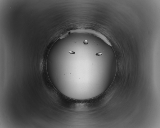 X0000088080216200705251415