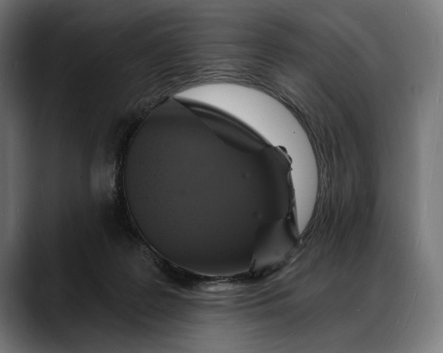 X0000088080219200705251415