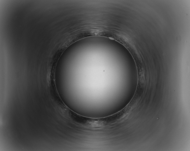 X0000088080221200705251415