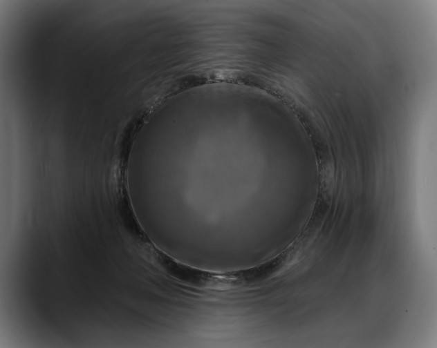 X0000088080222200705251415