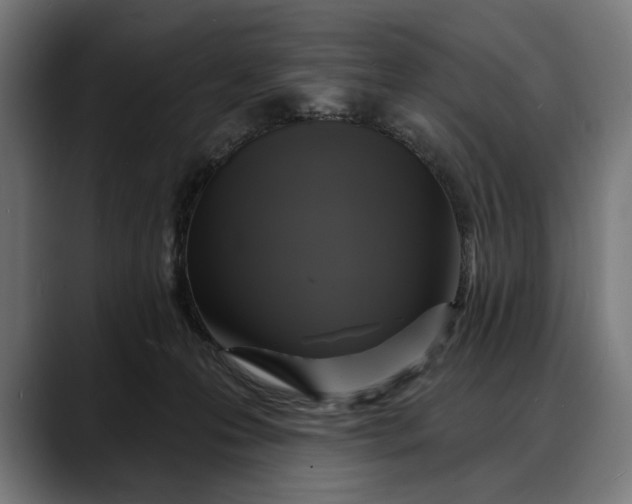 X0000088080223200705251415