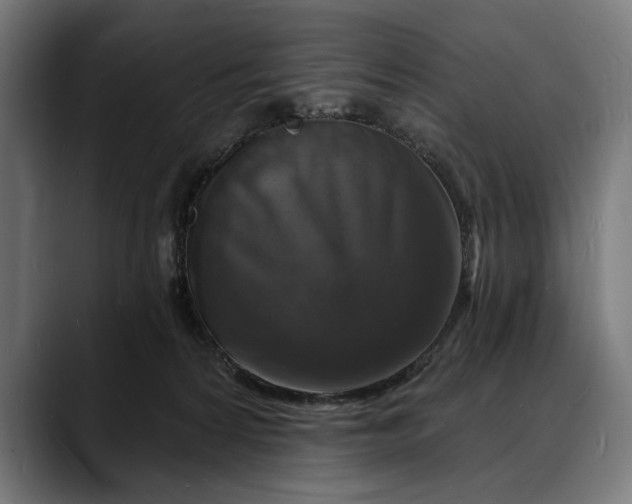 X0000088080224200705251415