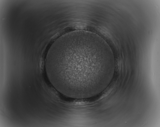 X0000088080228200705251415