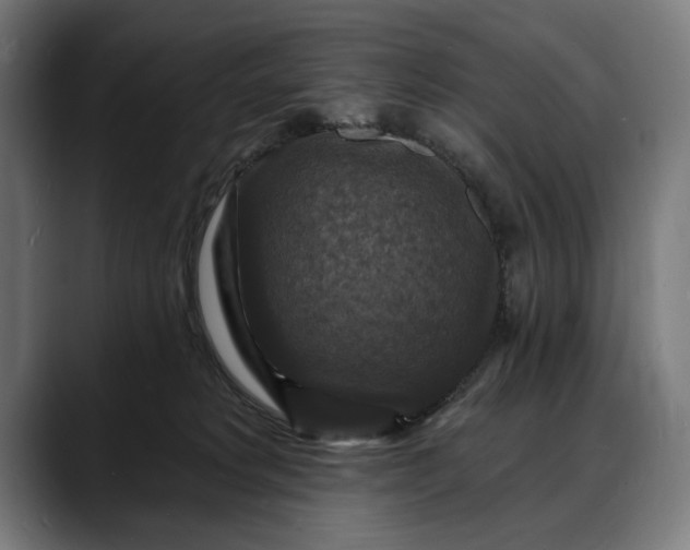 X0000088080229200705251415
