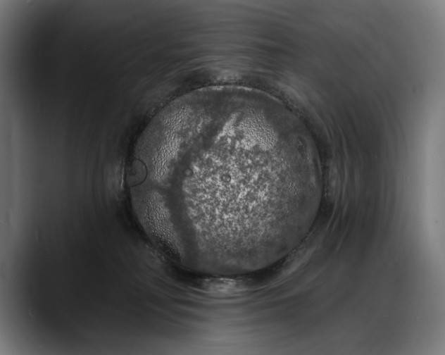 X0000088080230200705251415