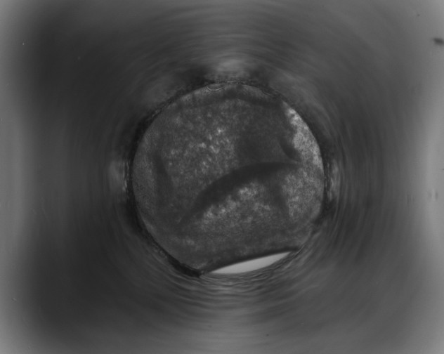 X0000088080232200705251414