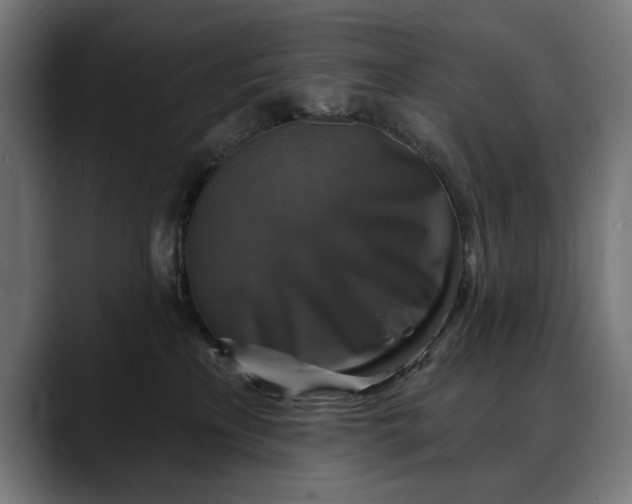 X0000088080233200705251414