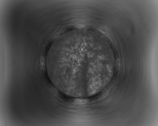 X0000088080234200705251414