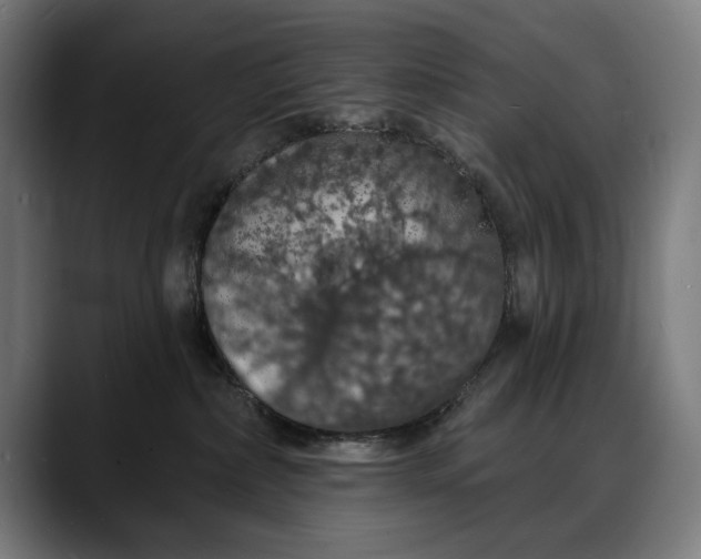 X0000088080236200705251414