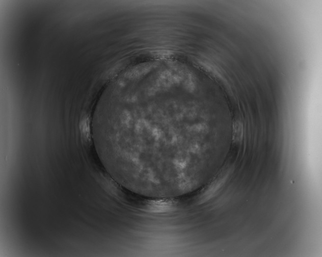 X0000088080238200705251414