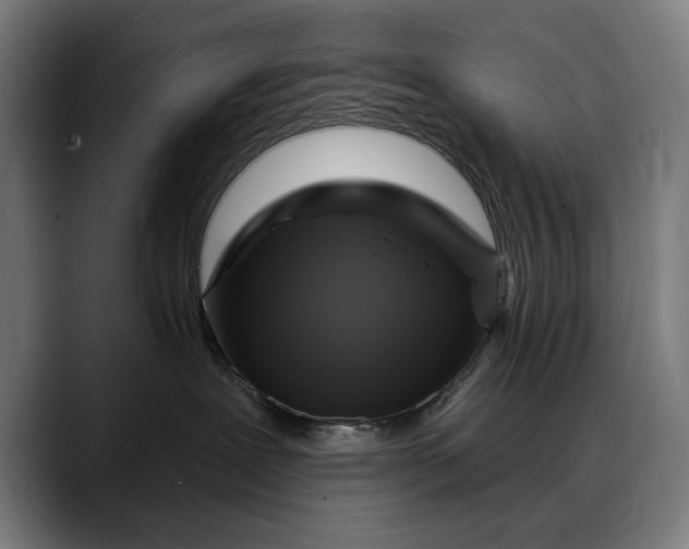 X0000088080239200705251414