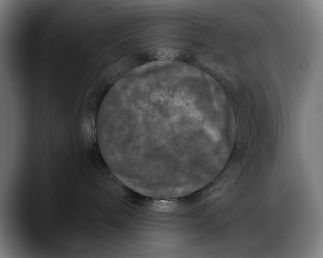 X0000088080240200705251414