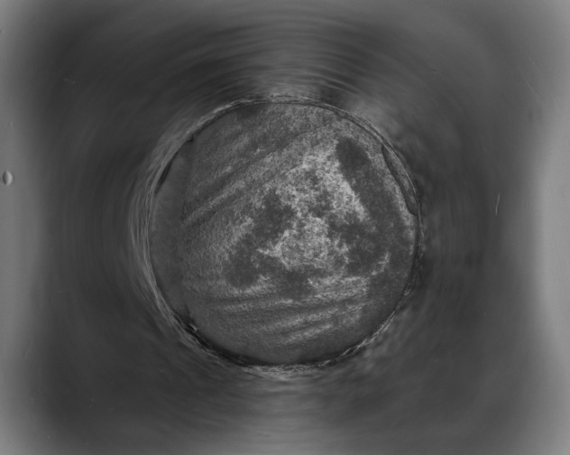 X0000088080241200705251414