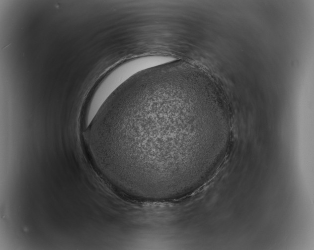 X0000088080242200705251414