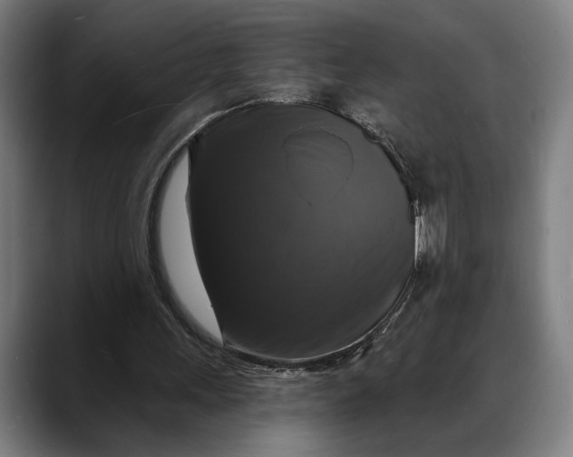X0000088080243200705251414