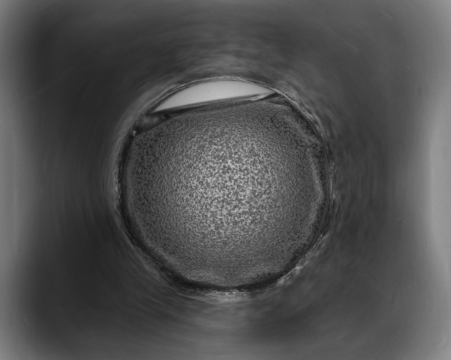 X0000088080245200705251414
