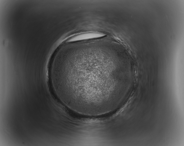 X0000088080246200705251414