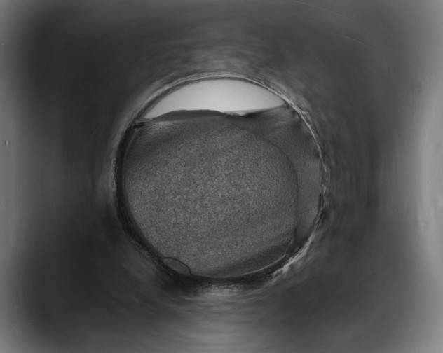 X0000088080248200705251414
