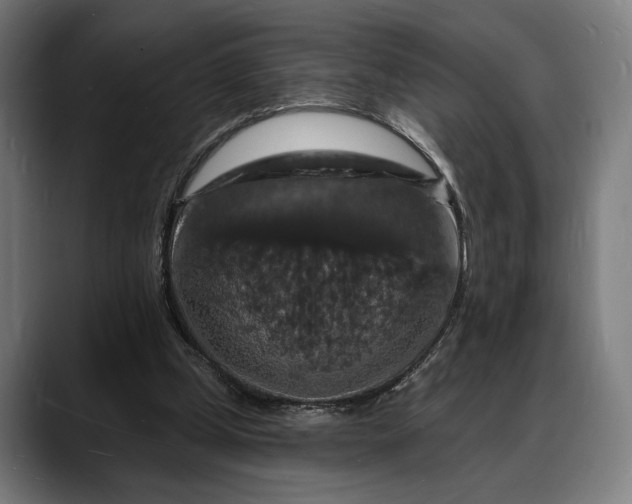 X0000088080249200705251414