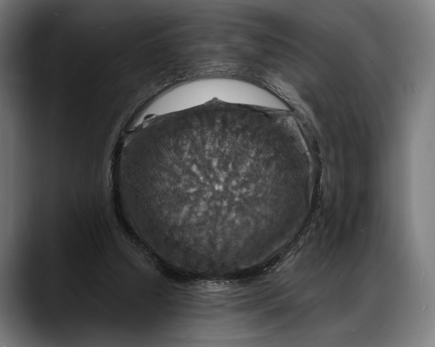 X0000088080250200705251414