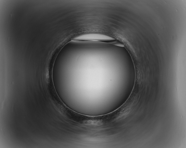 X0000088080251200705251414