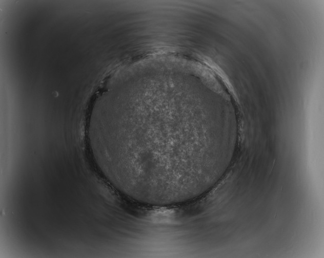 X0000088080257200705251414