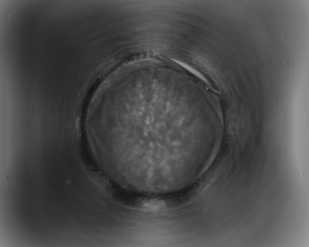X0000088080258200705251414
